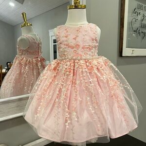American Princess Light Pink Floral Embroidered Tulle Dress